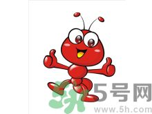 家里有螞蟻怎么辦？驅(qū)除螞蟻的方法是什么？