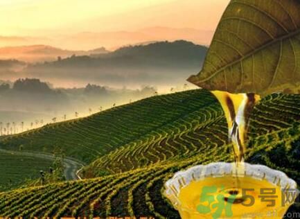 茶籽油可以天天吃嗎？可以每天用茶籽油炒菜嗎？