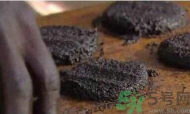 蚊子可以吃嗎？吃蚊子會怎么樣？