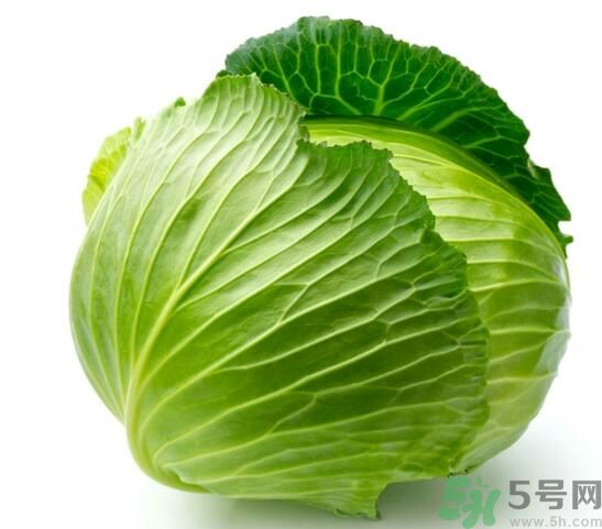 包菜是涼性的嗎？包菜是涼性還是熱性的？