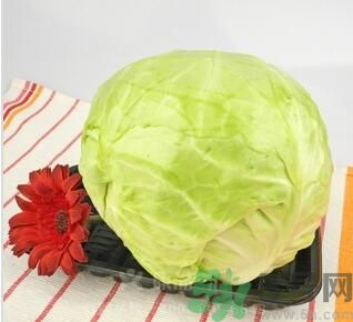 孕婦可以吃包菜嗎？孕婦吃包菜好嗎？