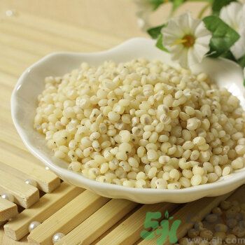 高粱米是涼性嗎？高粱米是涼性還是熱性？