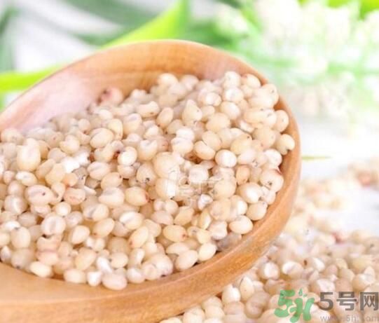 高粱米是發(fā)物嗎？高粱米是不是發(fā)物？