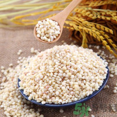 高粱米能做飯嗎？高粱米做飯好嗎？