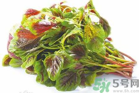 孕婦可以吃漢菜嗎？懷孕可以吃漢菜嗎？