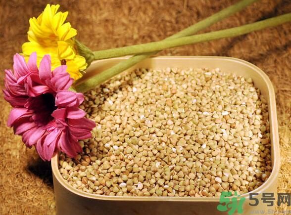 蕎麥?zhǔn)前l(fā)物嗎？蕎麥?zhǔn)遣皇前l(fā)物？