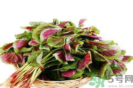 胃不好可以吃莧菜嗎？胃不好吃莧菜好嗎？