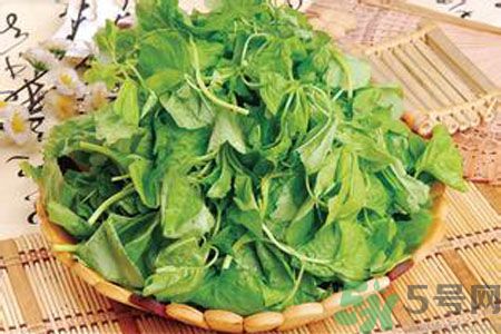 胃不好可以吃莧菜嗎？胃不好吃莧菜好嗎？