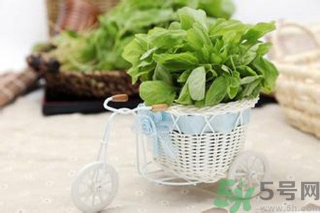漢菜怎么做好吃？漢菜的做法