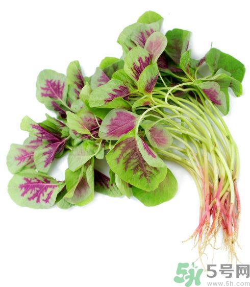吃莧菜會(huì)皮膚過(guò)敏嗎？吃莧菜皮膚過(guò)敏怎么辦？