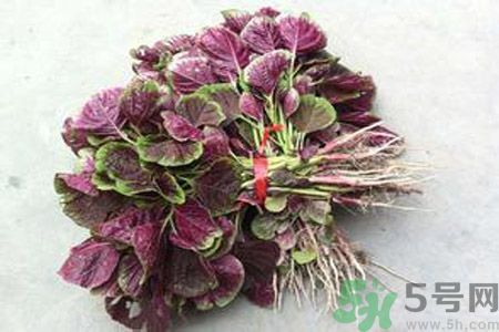 衣服上染上了莧菜汁怎么辦？衣服上的莧菜汁怎么洗掉？