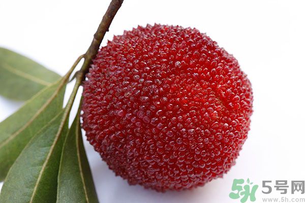 楊梅里面的蟲子能吃嗎？楊梅里面的蟲子吃了會(huì)怎么樣？