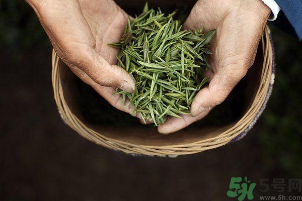 吃魚的時候能喝茶嗎？吃魚可以喝茶嗎？