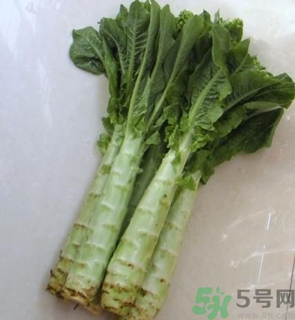 筍子是不是發(fā)物？筍子是發(fā)物嗎？