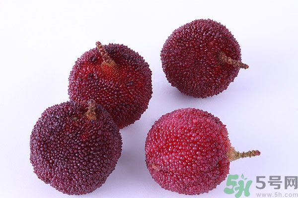 楊梅里面有小蟲(chóng)怎么洗？楊梅里的蟲(chóng)子怎么弄出來(lái)？
