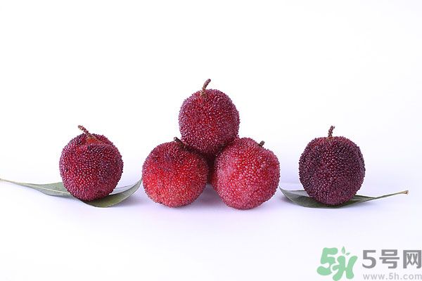 楊梅里面有小蟲(chóng)怎么洗？楊梅里的蟲(chóng)子怎么弄出來(lái)？