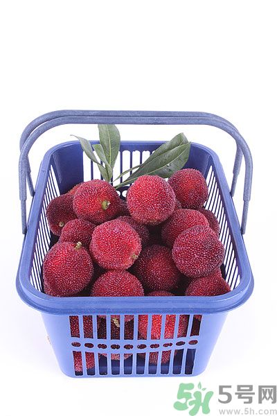 楊梅里面有小蟲(chóng)怎么洗？楊梅里的蟲(chóng)子怎么弄出來(lái)？