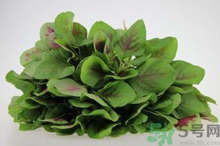 莧菜可以生吃嗎？莧菜生吃了會(huì)怎樣？