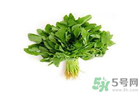 莧菜可以生吃嗎？莧菜生吃了會(huì)怎樣？