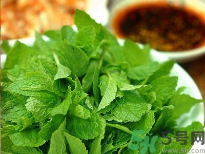 薄荷可以炒菜吃嗎？薄荷可以用來炒菜嗎？