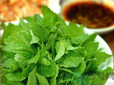 薄荷有什么功效？薄荷的攻效是什么？