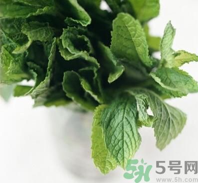 薄荷有什么功效？薄荷的攻效是什么？