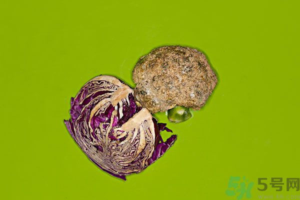 包菜外面爛了還能吃嗎？包菜里面有花可以吃嗎？