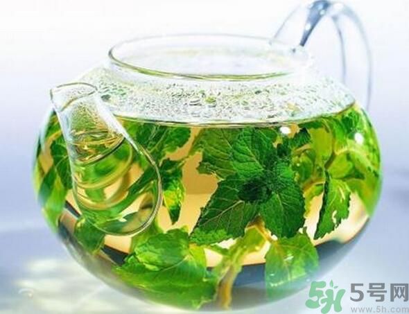 薄荷茶怎么泡好喝？薄荷茶的沖泡方法有哪些？