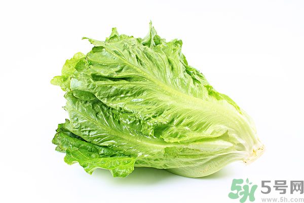 生菜在冰箱放久了能吃嗎？如何分辨生菜新不新鮮？
