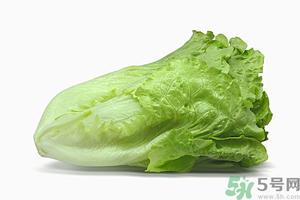 生菜在冰箱放久了能吃嗎？如何分辨生菜新不新鮮？