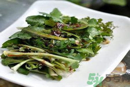 苦菜是酸性還是堿性？苦菜是堿性的嗎？