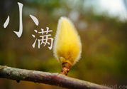 小滿名字的由來？小滿是什么意思？