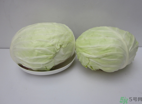 包菜榨汁要加水嗎？包菜汁怎么做？