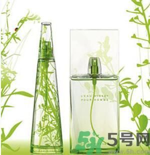 蚊子叮的包過幾天又癢是為什么？蚊子叮的包過幾天又癢怎么辦？