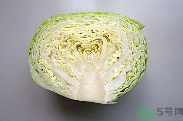 包菜能和魚一起吃嗎？魚可以和包菜一起吃嗎？