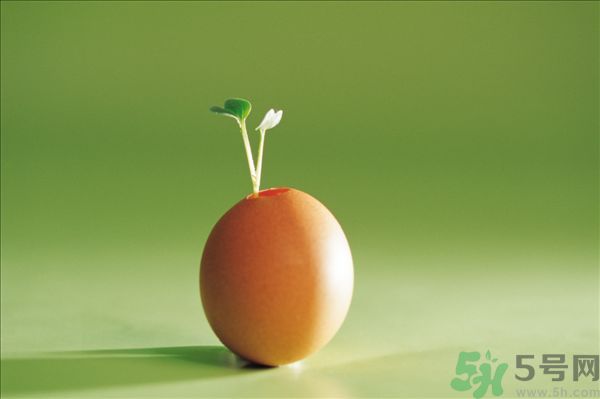 生菜和雞蛋能一起吃嗎？生菜和雞蛋一起怎么做？