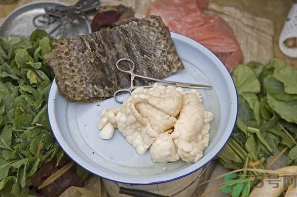 夏天吃蛇肉可以清火嗎？夏天吃蛇肉可以降火嗎？