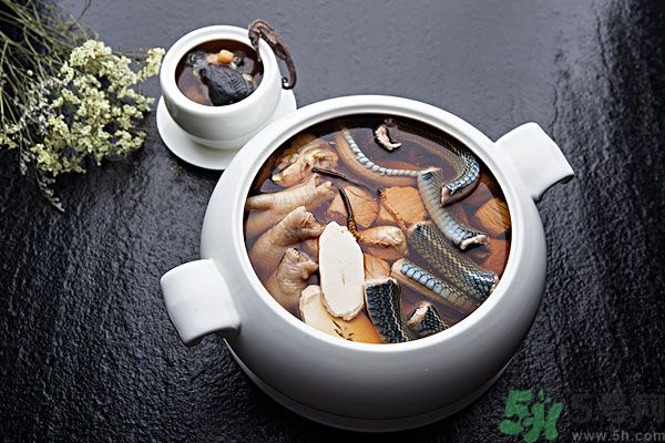 蛇肉是涼性嗎？蛇肉是涼性還是熱性？