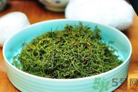 苦菜茶可以和綠茶一起喝嗎？苦菜茶可以和其他茶一起喝嗎？