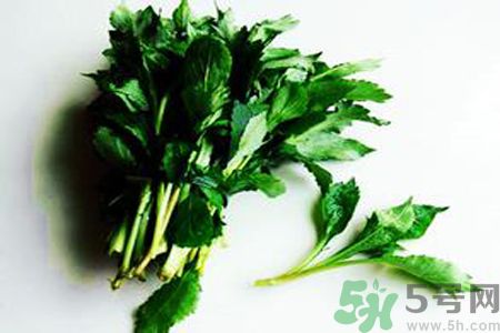 苦菜可以和蔥一起吃嗎？苦菜和蔥一起吃會(huì)怎樣？