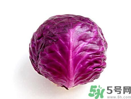 紫甘藍是涼性嗎？紫甘藍是涼性還是熱性？