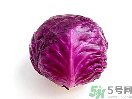 紫甘藍是發(fā)物嗎？紫甘藍是不是發(fā)物？