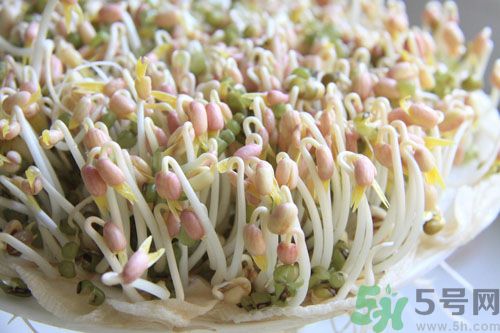紅豆可以發(fā)豆芽嗎？紅豆芽可以吃嗎？