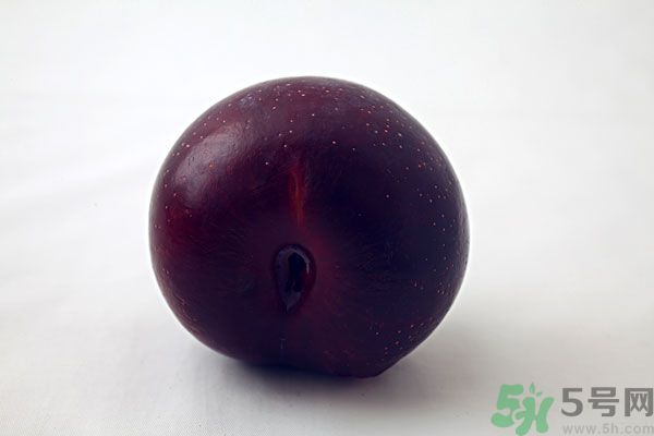 黑布林是李子嗎？黑布林的功效與作用