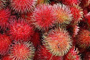 吃紅毛丹上火嗎？吃紅毛丹上火怎么辦？