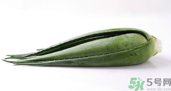 孕婦可以吃蘆薈嗎？孕婦吃蘆薈會(huì)怎樣？