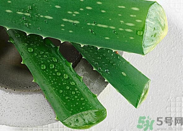 夏天吃蘆薈可以降火嗎？夏天吃蘆薈能清火嗎？