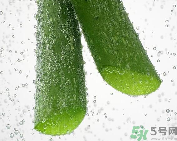夏天吃蘆薈可以降火嗎？夏天吃蘆薈能清火嗎？