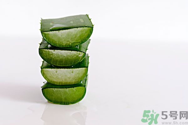 蘆薈是發(fā)物嗎？蘆薈是不是發(fā)物？