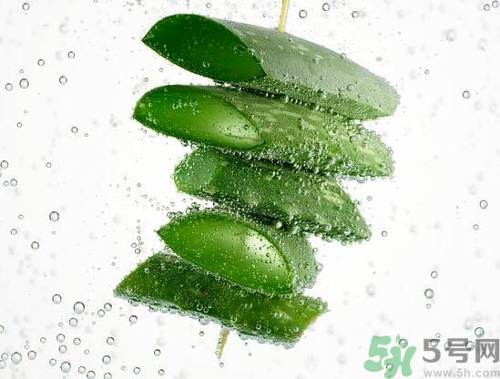 男性可以吃蘆薈嗎？男性吃蘆薈好不好？